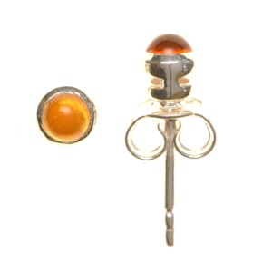Amber Stud Earrings