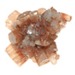 Aragonite Sputmik (Medium)