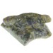 Atlantisite Lizard