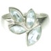 Blue Topaz 4 Marquis Ring (Size N)