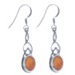 Picture of Carnelian Oval Cab and Silver Detail Earrings 