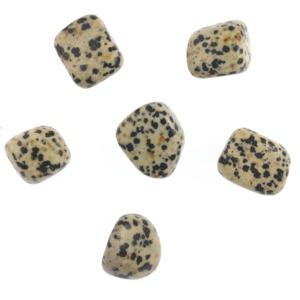 Dalmation Jasper Tumble Stone (Small)
