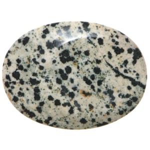 Dalmation Jasper Thumb Stone