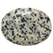 Dalmation Jasper Thumb Stone