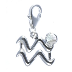 Fluorite (Clear) Zodiac Charm - Aquarius
