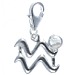 Fluorite (Clear) Zodiac Charm - Aquarius