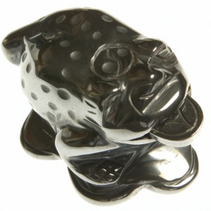 Haematite Money Toad