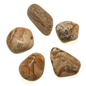 Picture Jasper Tumble Stone (Small)