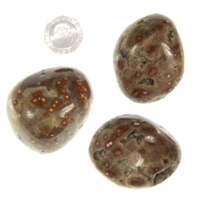 Ocean Jasper Pebble