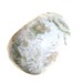 Ocean Jasper Tumble Stone (Small)