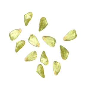 Peridot Tumble Chip