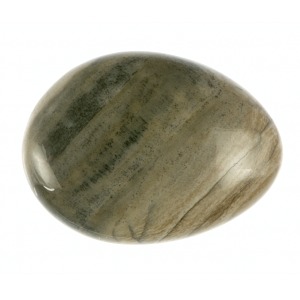 Petrified Wood Smooth Stone