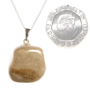 Petrified Wood Small Tumble Pendant