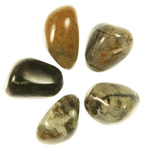 Picasso Jasper Tumble Stone (Med)