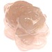 Rose Quartz Money Toad