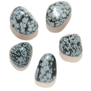 Snowflake Obsidian Tumble Stone (Small)