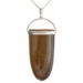 Tigers Eye Tongue Pendant