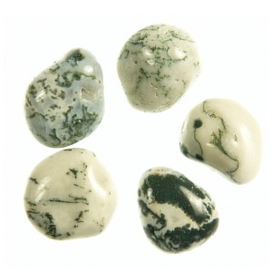 Tree Agate Tumble Stone (Med)