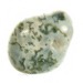 Tree Agate Tumble Stone (Med)