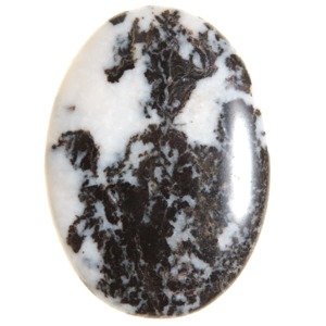 Zebra Jasper Palmstone (A)