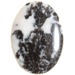 Zebra Jasper Palmstone (A)