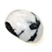 Picture of Jasper - Zebra